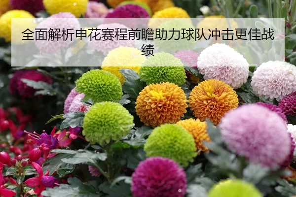 全面解析申花赛程前瞻助力球队冲击更佳战绩